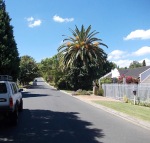 Our hosts home road in Stellenbosch.